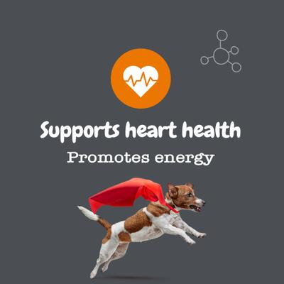 Show full view: Zesty Paws Healthy Aging NAD+ Precursor Cellular Energy, Brain, & Heart Bacon Flavor Powder Supplement for Dogs, 30 count slide 9 of 11