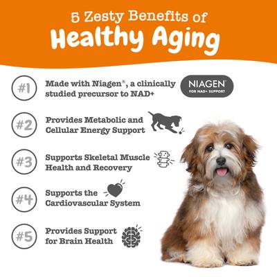 Show full view: Zesty Paws Healthy Aging NAD+ Precursor Cellular Energy, Brain & Heart Supplement for Dogs, 60 count slide 4 of 13