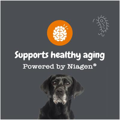 Show full view: Zesty Paws Healthy Aging NAD+ Precursor Cellular Energy, Brain & Heart Supplement for Dogs, 60 count slide 5 of 13
