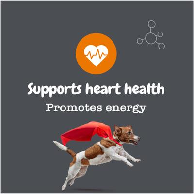 Show full view: Zesty Paws Healthy Aging NAD+ Precursor Cellular Energy, Brain & Heart Supplement for Dogs, 60 count slide 7 of 13