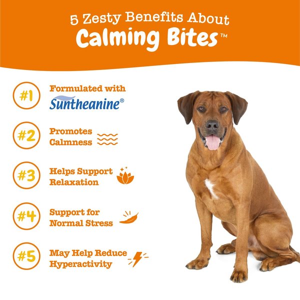 Show full view: Zesty Paws Hemp Calming Bites Peanut Butter Flavored Soft Chews Composure & Relaxation Supplement for Dogs, 10 count slide 2 of 10