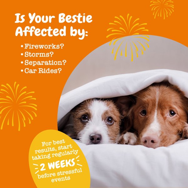 Show full view: Zesty Paws Hemp Calming Bites Peanut Butter Flavored Soft Chews Composure & Relaxation Supplement for Dogs, 10 count slide 4 of 10
