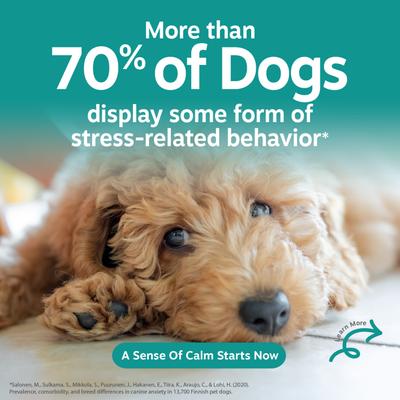 Show full view: Zesty Paws Calming Bites Peanut Butter Flavored Soft Chews Composure & Relaxation Supplement for Dogs, 90 count slide 5 of 11