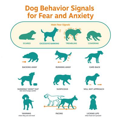 Show full view: Zesty Paws Calming Bites Peanut Butter Flavored Soft Chews Composure & Relaxation Supplement for Dogs, 90 count slide 6 of 11