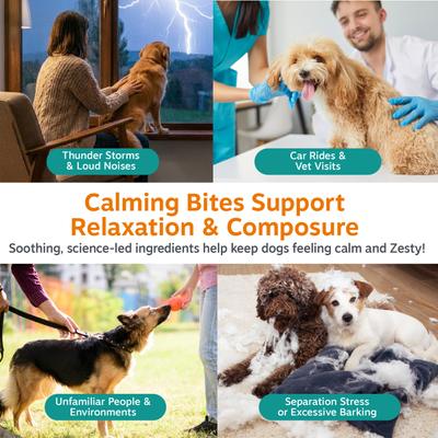 Show full view: Zesty Paws Calming Bites Peanut Butter Flavored Soft Chews Composure & Relaxation Supplement for Dogs, 90 count slide 3 of 11