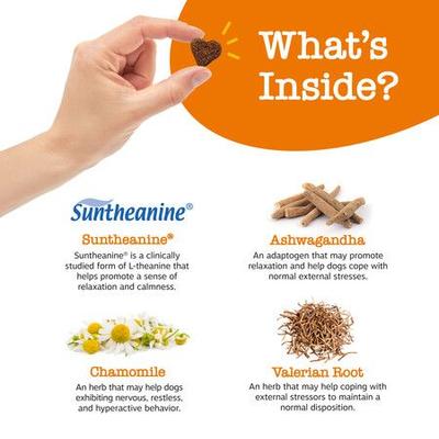 Show full view: Zesty Paws Hemp Calming Bites Turkey Flavored Soft Chews Supplement for Dogs, 90 count slide 4 of 12