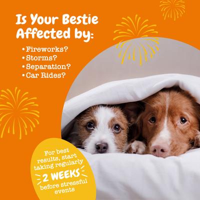 Show full view: Zesty Paws Hemp Calming Bites Turkey Flavored Soft Chews Supplement for Dogs, 90 count slide 5 of 12