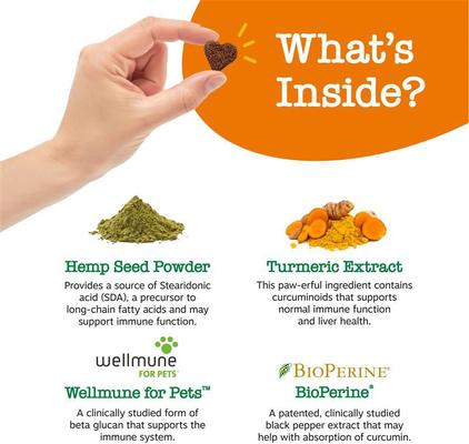 Show full view: Zesty Paws Hemp Elements Allergy & Immune Bites Cheese Flavored Soft Chews Supplement for Dogs, 90 count slide 3 of 7