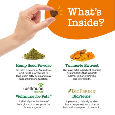 Show full view: Zesty Paws Hemp Elements Hip & Joint Bites Chicken Flavored Soft Chews Glucosamine Supplement for Dogs, 90 count slide 4 of 13