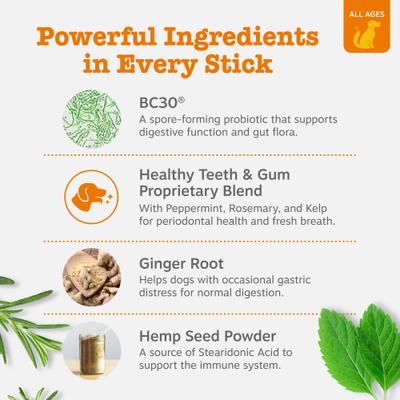 Show full view: Zesty Paws Hemp Elements Probiotic OraStix Peppermint Flavored Dog Dental Chews, 12-oz bag slide 4 of 13