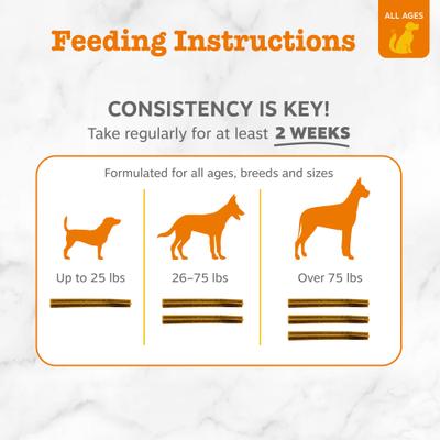 Show full view: Zesty Paws Hemp Elements Probiotic OraStix Peppermint Flavored Dog Dental Chews, 12-oz bag slide 5 of 13