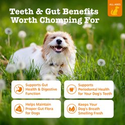 Zesty Paws Hemp Elements Probiotic OraStix Peppermint Flavored Dog Dental Chews, 25-oz bag slide 2 of 9