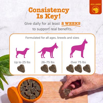 Show full view: Zesty Paws Hip & Joint Bites Bacon Flavored Soft Chews Glucosamine Mobility Supplement for Dogs, 90 count slide 7 of 12