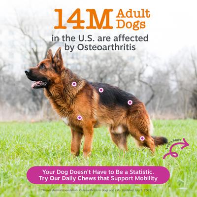 Show full view: Zesty Paws Hip & Joint Bites Bacon Flavored Soft Chews Glucosamine Mobility Supplement for Dogs, 90 count slide 6 of 12