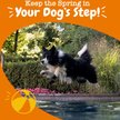 Show in main carousel: Zesty Paws Hip & Joint Mobility Bites Duck Flavored Soft Chews Glucosamine Supplement for Dogs, 10 count slide 4 of 12