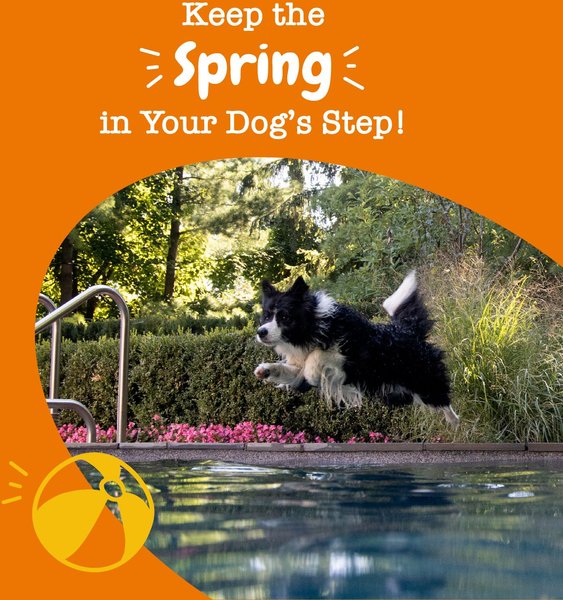 Show full view: Zesty Paws Hip & Joint Mobility Bites Duck Flavored Soft Chews Glucosamine Supplement for Dogs, 90 count slide 4 of 11