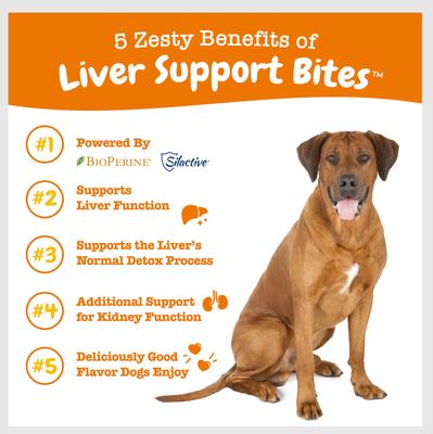 Show full view: Zesty Paws Liver Support Bites Chicken Flavored Soft Chews Milk Thistle Supplement for Dogs, 180 count slide 7 of 12