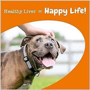 Zesty Paws Liver Support Bites Chicken Flavored Soft Chews Milk Thistle Supplement for Dogs, 90 count