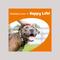 Show in main carousel: Zesty Paws Liver Support Bites Chicken Flavored Soft Chews Milk Thistle Supplement for Dogs, 90 count slide 5 of 11