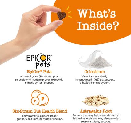 Show full view: Zesty Paws Mobility Bites Hip & Joint Support + Aller-Immune Bites Lamb Flavor Immune System Soft Chews Dog Supplement slide 4 of 9