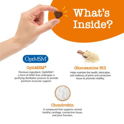 Show full view: Zesty Paws Mobility Bites Hip & Joint Support + Probiotic Bites Digestion Pumpkin Flavor Soft Chews Dog Supplement slide 8 of 9