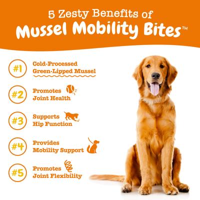 Show full view: Zesty Paws Mussel Mobility Bites Chicken Flavored Soft Chews Hip & Joint Supplement for Dogs, 180 count slide 6 of 12