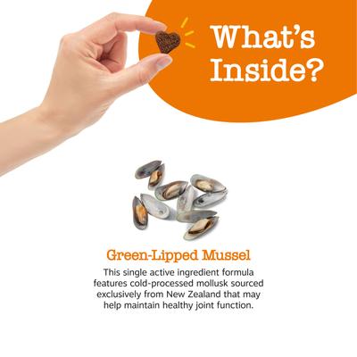 Show full view: Zesty Paws Mussel Mobility Bites Chicken Flavored Soft Chews Hip & Joint Supplement for Dogs, 180 count slide 5 of 12