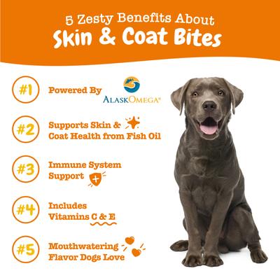 Show full view: Zesty Paws Omega Bites Skin & Coat Support + 8-in-1 Multivitamin Bites Chicken Flavor Dog Supplement slide 9 of 9