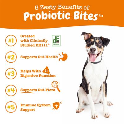 Show full view: Zesty Paws Omega Bites Skin & Coat Support + Probiotic Bites Digestion Pumpkin Flavor Soft Chews Dog Supplement slide 9 of 9
