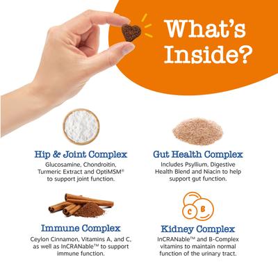 Show full view: Zesty Paws Probiotic Bites Digestion + 11-in-1 Bites Multifunctional MSM & Curcumin + Cranberry & Lutein Senior Chicken Flavor Dog Supplement slide 4 of 9