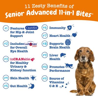 Show full view: Zesty Paws Probiotic Bites Digestion + 11-in-1 Bites Multifunctional MSM & Curcumin + Cranberry & Lutein Senior Chicken Flavor Dog Supplement slide 5 of 9