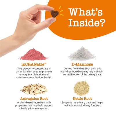 Show full view: Zesty Paws Probiotic Bites Digestion Pumpkin Flavor Soft Chews Supplement + Cranberry Bladder Bites Urinary Tract Support Chicken Flavor Chews for Dogs slide 8 of 9