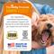 Show in main carousel: Zesty Paws Probiotic Bites Pumpkin Flavored Soft Chews Gut Flora & Digestive Supplement for Dogs, 90 count slide 8 of 12