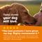 Show in main carousel: Zesty Paws Probiotic Bites Pumpkin Flavored Soft Chews Gut Flora & Digestive Supplement for Dogs, 90 count slide 7 of 12