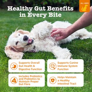 Zesty Paws Probiotic Bites Pumpkin Flavored Soft Chews Gut Flora & Digestive Supplement for Dogs, 90 count