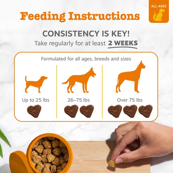 Show full view: Zesty Paws Probiotic Bites Pumpkin Flavored Soft Chews Gut Flora & Digestive Supplement for Dogs, 90 count slide 3 of 9