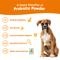 Show in main carousel: Zesty Paws Probiotic Powder Pumpkin Flavored Gut Flora & Digestive Aid Supplement for Dogs, 30 count slide 3 of 11