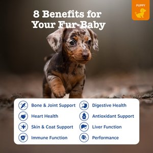 Zesty Paws Puppy 8-in-1 Chicken Flavor Soft Chews Multivitamin Supplement for Dogs, 90 count