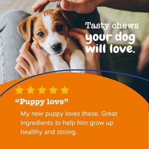 Zesty Paws Puppy 8-in-1 Chicken Flavor Soft Chews Multivitamin Supplement for Dogs, 90 count