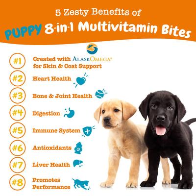 Show full view: Zesty Paws Puppy 8-in-1 Chicken Flavor Soft Chews Multivitamin Supplement for Dogs, 90 count slide 3 of 13
