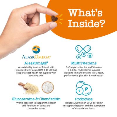 Show full view: Zesty Paws Puppy 8-in-1 Chicken Flavor Soft Chews Multivitamin Supplement for Dogs, 90 count slide 5 of 13