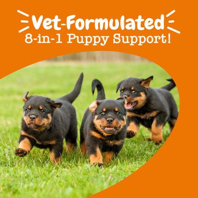 Show full view: Zesty Paws Puppy 8-in-1 Chicken Flavor Soft Chews Multivitamin Supplement for Dogs, 90 count slide 6 of 13