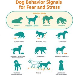 Zesty Paws Puppy Calming Bites Behavior Turkey Flavor Soft Chews Supplement for Dogs, 90 count slide 2 of 9