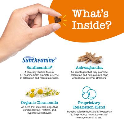 Show full view: Zesty Paws Puppy Calming Bites Behavior Turkey Flavor Soft Chews Supplement for Dogs, 90 count slide 5 of 9