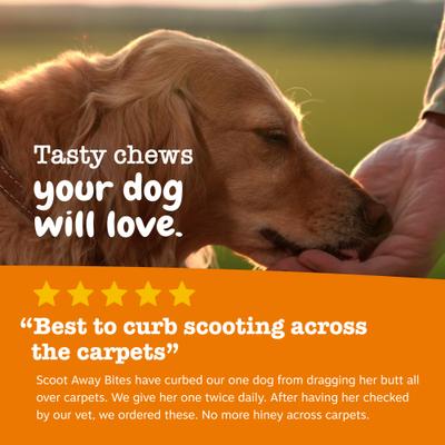 Show full view: Zesty Paws Scoot Away Bites Chicken Flavored Soft Chews Digestive Supplement for Dogs, 90 count slide 7 of 13