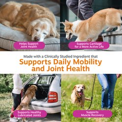 Zesty Paws Skin & Coat Bites Bacon Flavored Soft Chews Salmon Oil Supplement for Dogs, 90 count slide 2 of 8