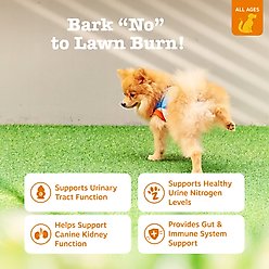 Zesty Paws Stay Green Bites Chicken Flavored Soft Chews Grass Protection Urine Neutralizer & Digestive Supplement for Dogs 90 count slide 2 of 9
