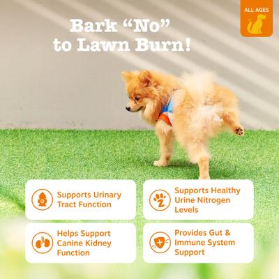 Show full view: Zesty Paws Stay Green Bites Chicken Flavored Soft Chews Grass Protection Urine Neutralizer & Digestive Supplement for Dogs 90 count slide 3 of 13