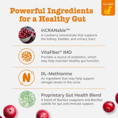 Show full view: Zesty Paws Stay Green Bites Chicken Flavored Soft Chews Grass Protection Urine Neutralizer & Digestive Supplement for Dogs 90 count slide 4 of 13