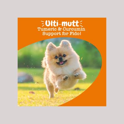 Show full view: Zesty Paws Turmeric Curcumin Bites Duck Flavored Soft Chews Multivitamin for Dogs, 90 count slide 5 of 13